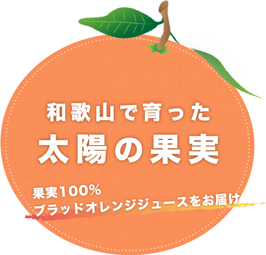 和歌山で育った太陽の果実、果実100%ブラッドオレンジジュースをお届け